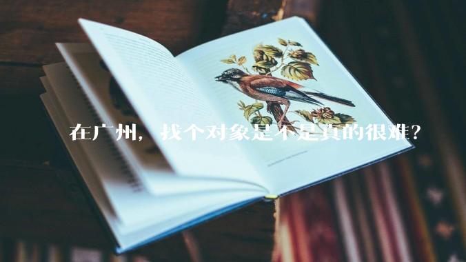 在广州，找个对象是不是真的很难？