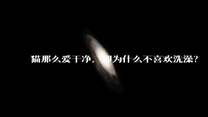 猫那么爱干净，却为什么不喜欢洗澡？