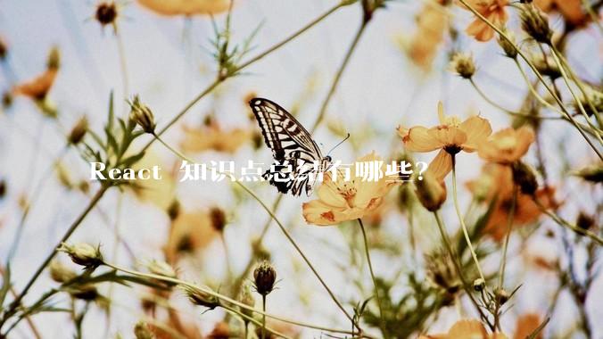 React 知识点总结有哪些？