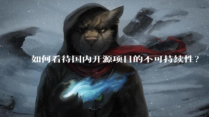 如何看待国内开源项目的不可持续性？